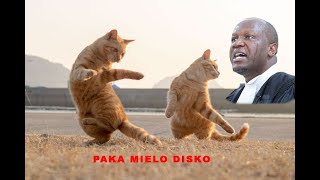 Download lagu Piki Piki Ponki, Paka Mielo Disco SONG/ Challenge - Lawyer Willis Otieno mp3 Download lagu Piki Piki Ponki, Paka Mielo Disco SONG/ Challenge - Lawyer Willis Otieno mp3