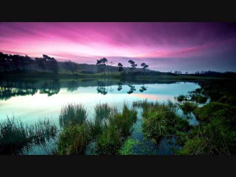 VA - Chillstep Dreams Vol. 05