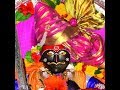 Jyotibacha Navan Changbhal ज्योतिबा खेटे
