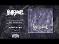 WHITE NOISE - DEADWEIGHT (2023) | OFFICIAL LYRIC VISUALIZER | TOTAL DEATHCORE 🔥