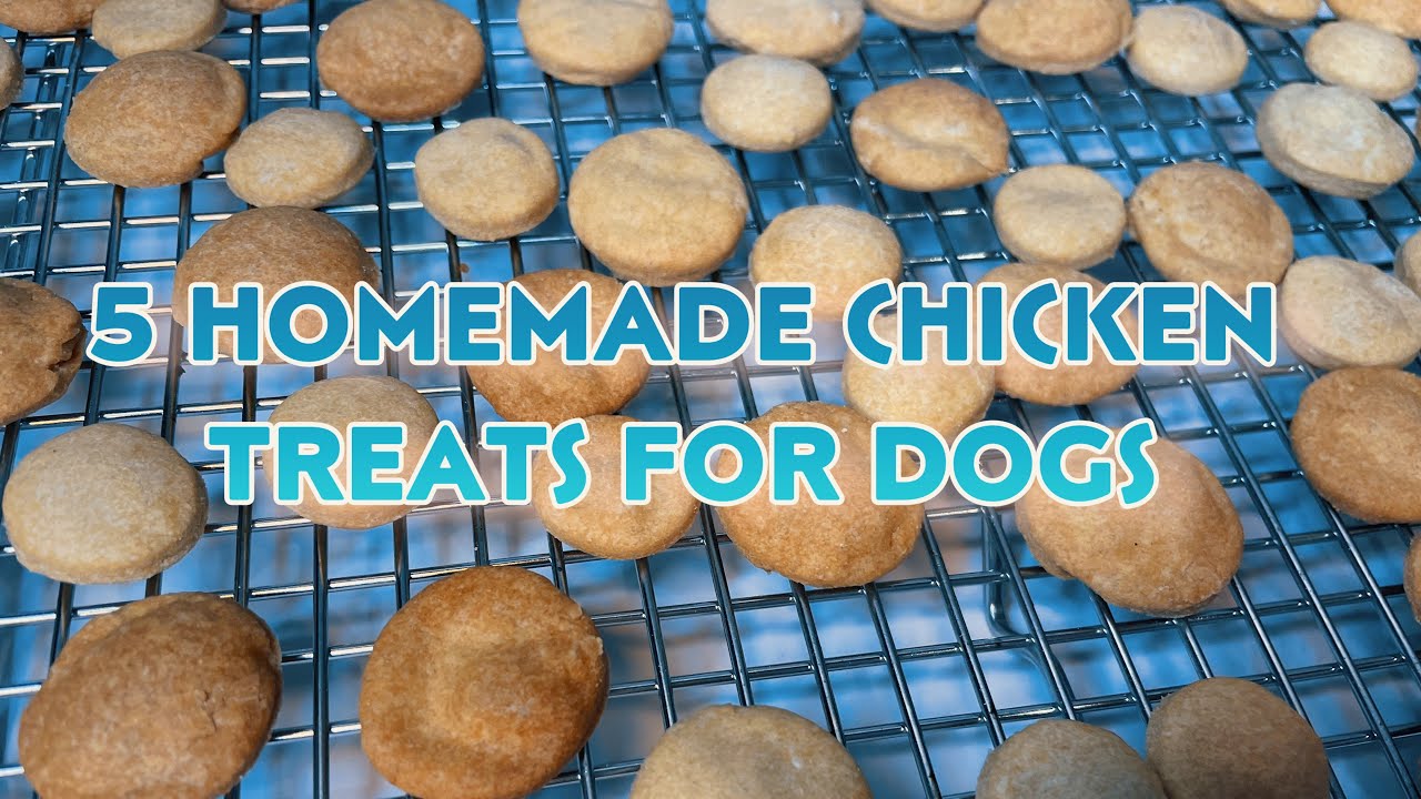 5 Homemade Dog Treats Made with Chicken