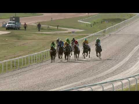 2021.08.22. 06. futam - NYERETLENEK VERSENYE (V.kat.) (szintetikus pálya)