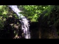 Gojira - Global Warming (music video) 