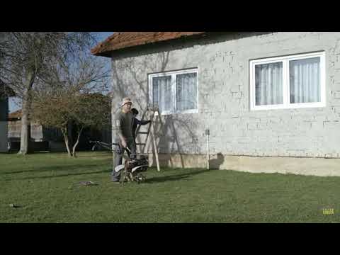 Cedo koja je to Kurvetina