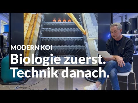 UV in der Innenhälterung: ist hier ein Bypass sinnvoll? | Modern Koi Blog #7948