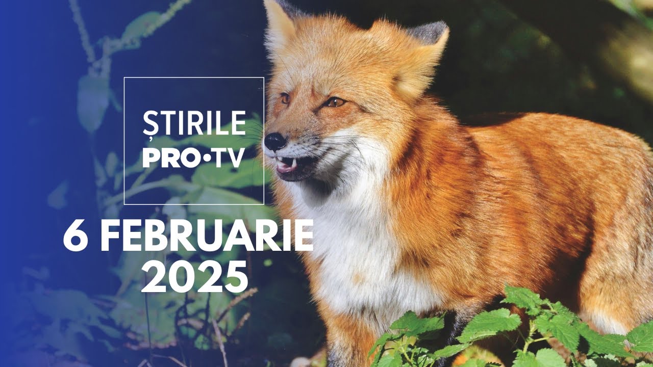 Știrile PRO TV - 6 Februarie 2025