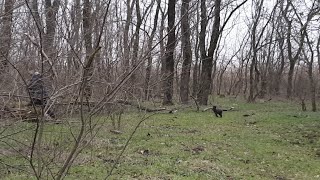 Роща Live
