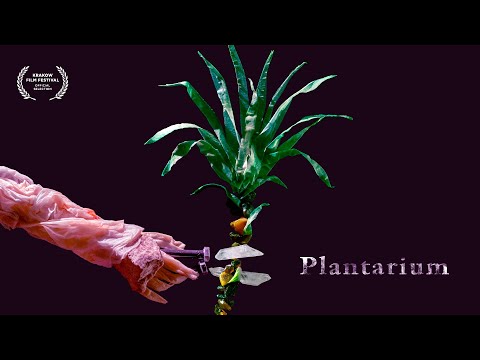 Thumbnail for video: PLANTARIUM, dir. Tomek Ducki - trailer