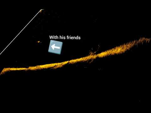 Lowrance Active Target Clips