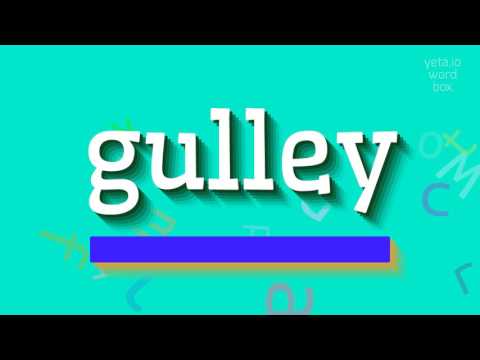 HOW TO SAY GULLEY? #gulley