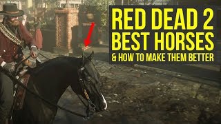 Red Dead Redemption 2 Best Horses IN THE GAME &amp; How To Make Them Even Better (RDR2 Best Horses)