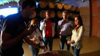 preview picture of video 'La Ruta del Vino, donde el vino y la cultura son sinónimos'