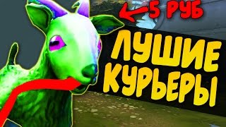 5 БОЖЕСТВЕННЫХ КУРЬЕРОВ ДОТЫ, КОТОРЫХ МОЖНО КУПИТЬ БУКВАЛЬНО ЗА КОПЕЙКИ!
