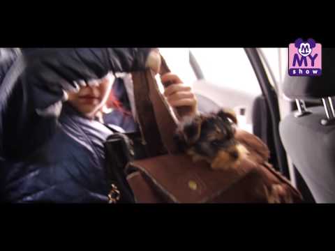 myShow - odcinek 04 - remix [official video HQ]