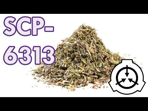 SCP-6313 | Thyme is a Flat Circle | Euclid | Teleportation SCP 🌿