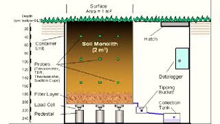 Water requirement, Methods of estimation of the water requirement