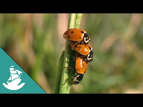 Clocks, cryogenesis and time machine (Full Documentary)