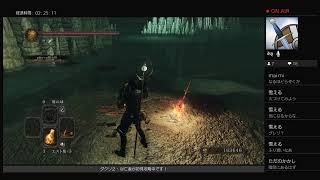 亡者の相棒とダクソ２初見攻略その１１