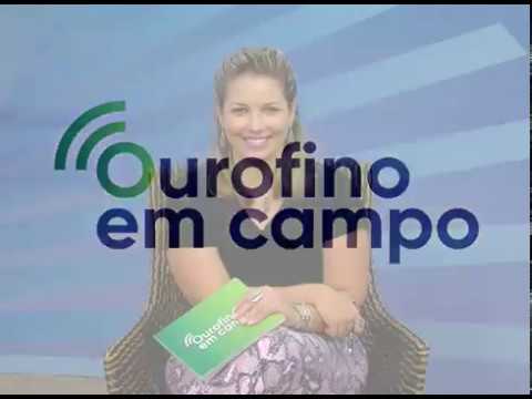 Ourofino em Campo - 28-02-2017