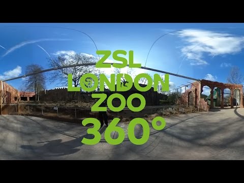 Land of the Lions | 360° Tour | Temple Ruins