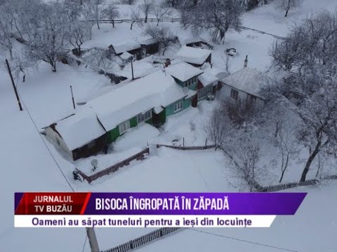Bisoca ingropata in zapada
