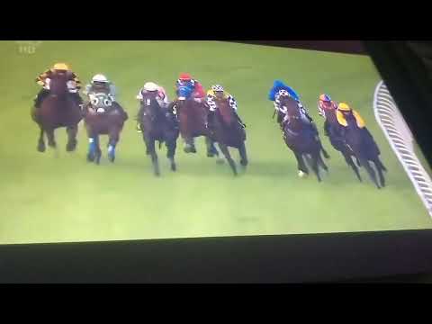 Singapore Race Meeting Results 18/06/2022 Race 1-12 25