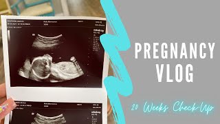 Vlog: 20 Weeks Check-up, Checking Baby Anatomy 💙| Armani Wells