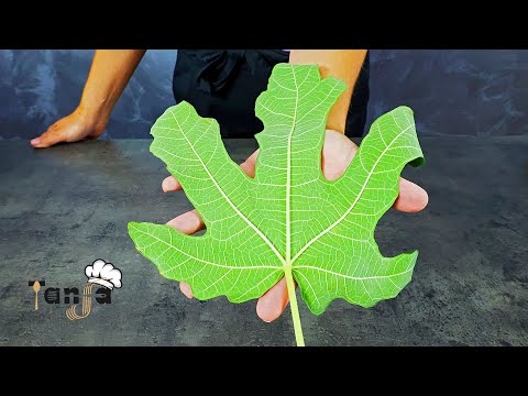 Prirodno regulirajte šećer u krvi – prirodni lijek za dijabetes