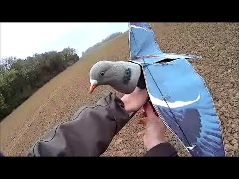 download lagu mp3 mp4 Hypaflap, download lagu Hypaflap gratis, unduh video klip Hypaflap