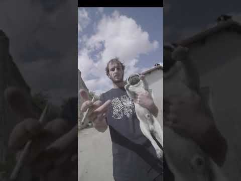 Youri - Tsar "Clip" ( Exclu IGTV )