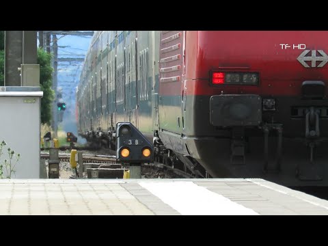 IC8 nach Brig und SBB LION