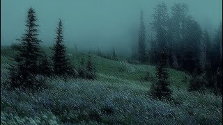 Sorry / Alex G / lyrics / 1 hour