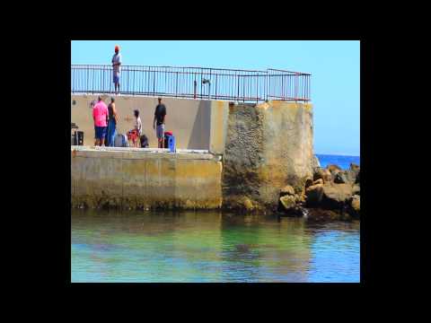 Champ Green Vs Sk Band Jam