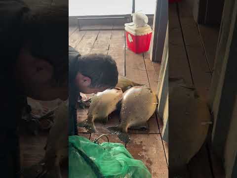 Pescaria mata dos macacos Guaraci São Paulo
