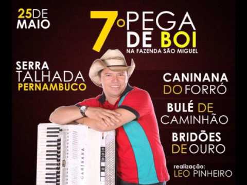 Despedida de Solteiro video