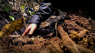 100 árboles sembrados en la Serranía del Majui con C.D.A. Seikou