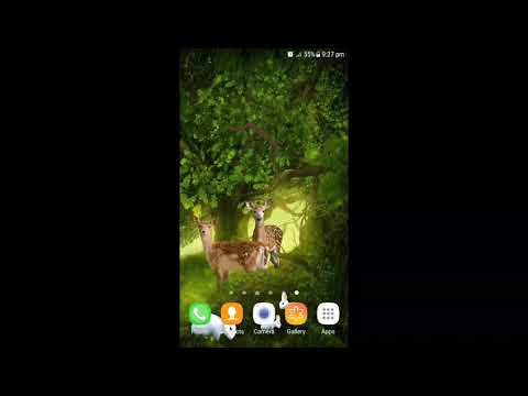 Forest Deer Live Wallpaper