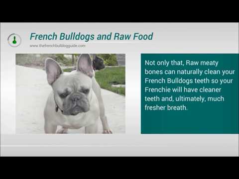 The French Bulldogs Food & Diet | What To Feed Your French Bulldog
