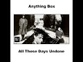Anything Box - All These Days Undone (LYRICS)