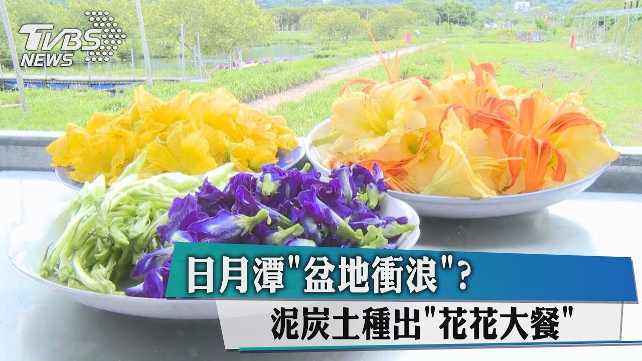 日月潭「盆地衝浪」? 泥炭土種出「花花大餐」