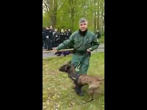POLIZEI VS FUßBALLFANS ! POLIZEIHUNDE