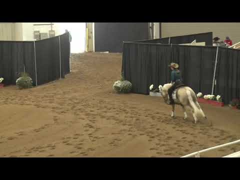 201005 Non Pro Tristian Bagby on Shina Gun