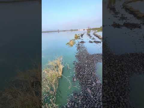 Laguna de san Gregorio atlapulco