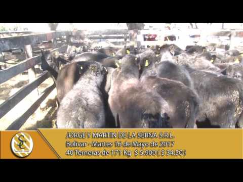 16-05-17 Venta de Hembras - Jorge y Martin De La Serna S.R.L. - Bolivar.