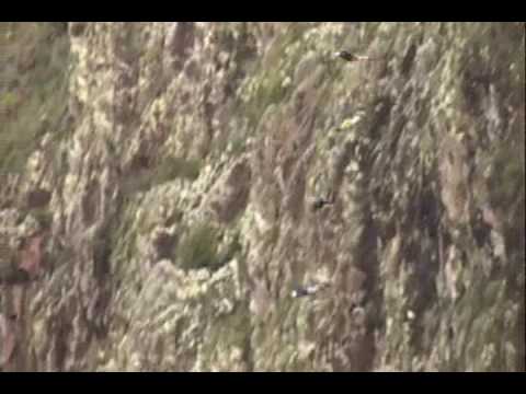 Amazing waterfall base jump