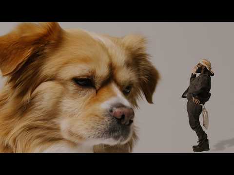 Dear Silas - Mikolton (Dat's My Dawg) [Official Video]