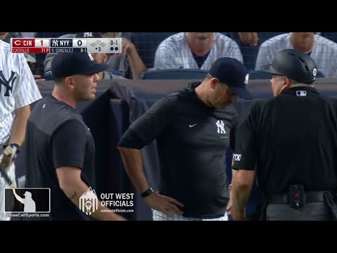 Ejection 100 - 1st-Year Yankees Coach Dillon Lawson Tossed by 33-Year Umpire Jerry Layne