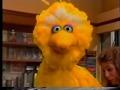 Sesame Street Big Bird Tries To Help Gina New HD