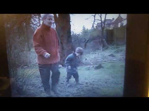 Teletubbies: Welly Walk TV Event