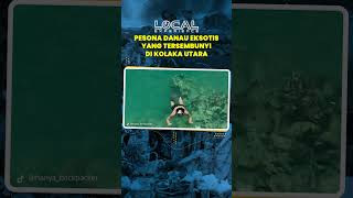 Danau Eksotis Tersembunyi, Intip Pesona Destinasi Wisata Danau Biru di Kolaka Utara